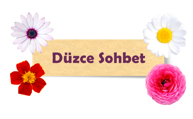 Düzce Sohbet Odaları