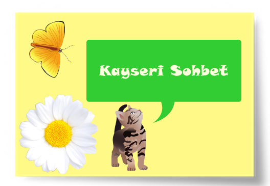 Kayseri Sohbet Odaları