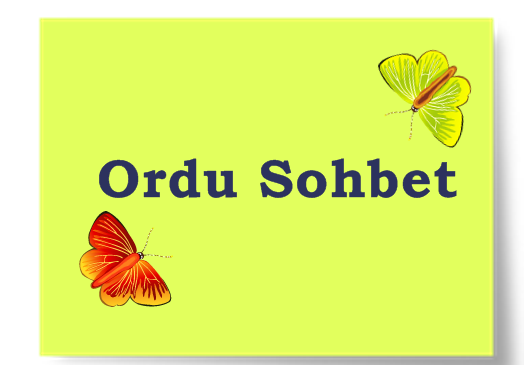 Ordu Sohbet Odaları